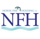 Norsk Fisk Holding